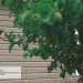 Сайдинг Ю-Пласт TIMBERBLOCK Пихта (Тимберблок) Cахалинская купить в Уфе