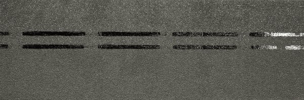 Коньково-карнизная черепица Docke Premium, авокадо купить в Уфе