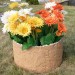 Цветник КАНЬОН купить в Уфе